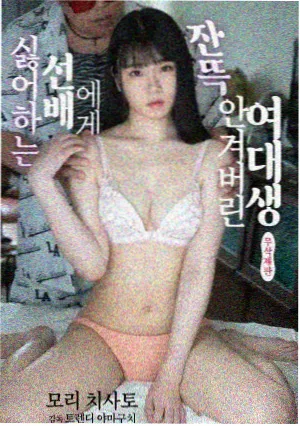 沉默的航线 谍战剧在线观看
